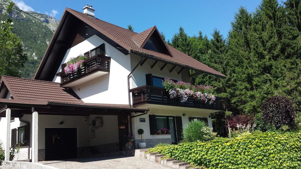 Homestay Ostan 博维茨 外观 照片